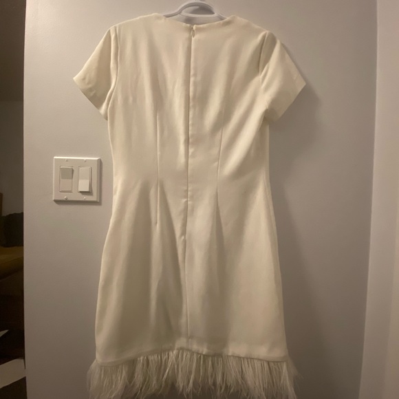 Feather Dress - Picture 4 of 6